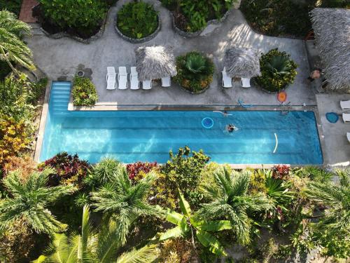 an overhead view of a swimming pool with palm trees at Bluff Beach Retreat in Bocas del Toro