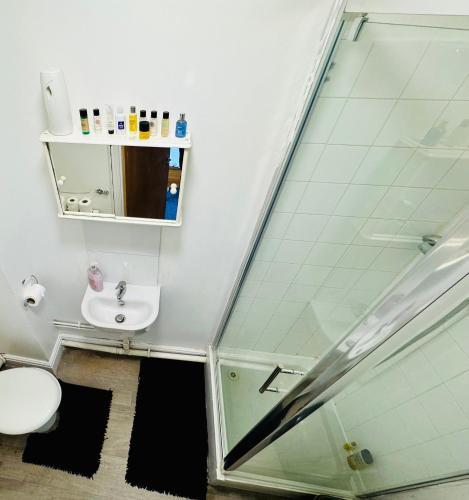 a bathroom with a toilet and a sink at Celtic Springs Room with Garden in Newport