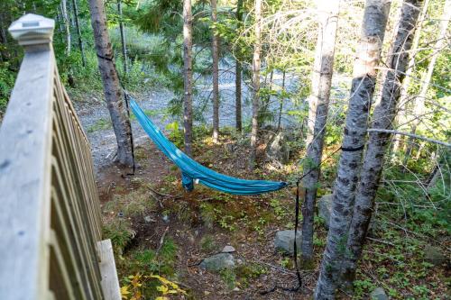 a hammock in the woods next to a fence at Dominion Hill Country Inn in Bocabec