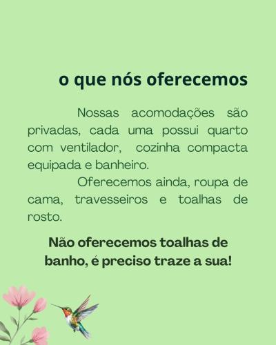 El mosquito Aedes aegyptopheles y el Aedes contaminan una planta. en Casa Solar, en Florianópolis