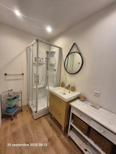 Maison Llapasset في فورميجويريس: حمام مع دش ومغسلة ومرآة