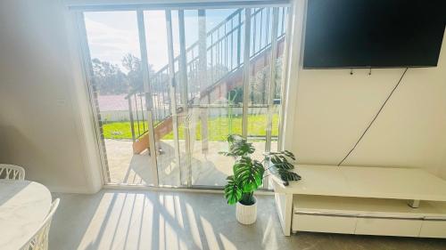 a living room with a large window and a plant at KINGI Granny Flat in Batemans Bay