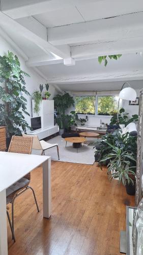 a large living room with potted plants in it at Chambre d hotes "Lilimyna" avec petit déjeuner in Barjols