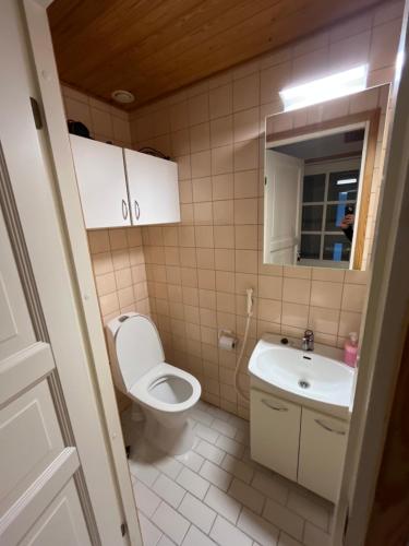 Un baño pequeño con inodoro y lavabo. en Ojuspirtti 26A Levi, en Levi