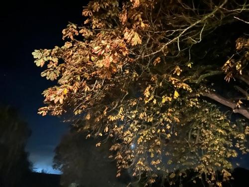 Φωτογραφία από το άλμπουμ του Cotswolds Retreat σε Overbury