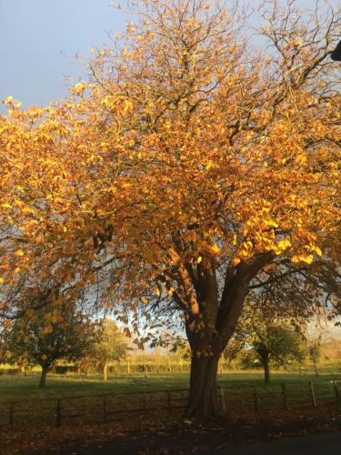 Φωτογραφία από το άλμπουμ του Cotswolds Retreat σε Overbury