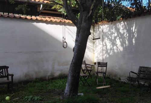 a swing hanging from a tree in a yard at GreenBrook Homes in Aalborg