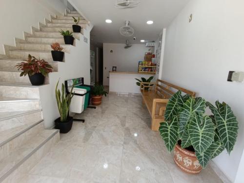 a hallway with potted plants on the walls and stairs at Hotel Panther Resort in Necoclí