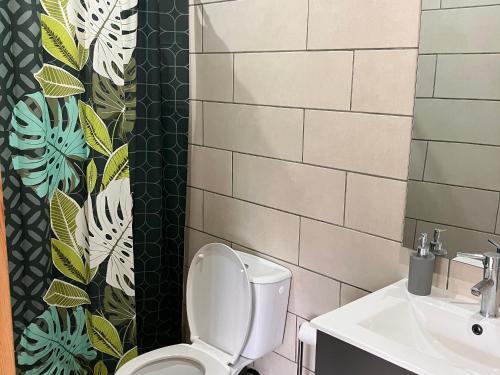 a bathroom with a toilet and a sink at Studio rural pour 2 personnes à Bourg Murat, La Réunion - FR-1-786-64 in Maison de lʼEnfance