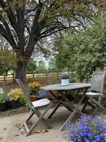 Κήπος έξω από το Cotswolds Retreat