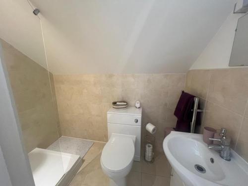 Saint PetersにあるOld Forge Broadstairs with Garden Nr Dreamlandの白いトイレと洗面台のあるバスルーム