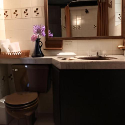 Un baño de Finca La Mara