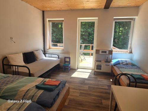 a room with two beds and a couch and windows at Chata WALTEROVKA in Josefuv dul