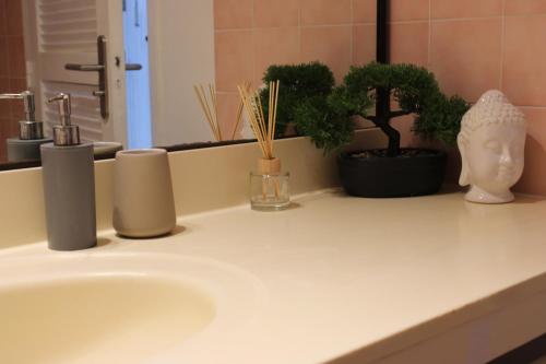 a bathroom sink with potted plants and a mirror at Grand Studio avec piscine in Cul de Sac