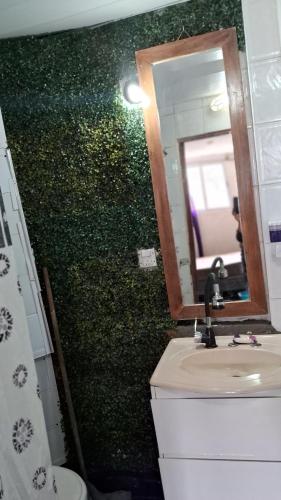 a bathroom with a green wall with a sink and a mirror at CHE LOLITA HOUSE in Buenos Aires