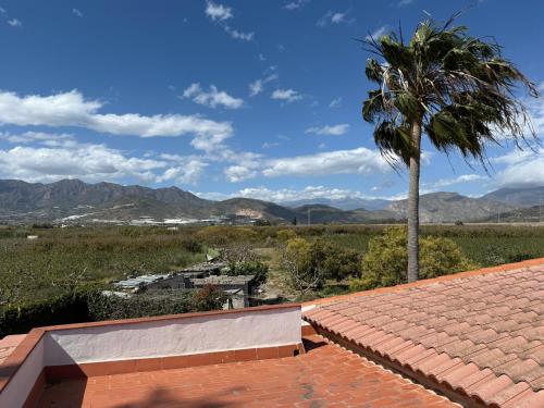 a palm tree sitting on top of a roof at Cortijo Celia in Salobreña