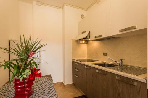 a kitchen with a sink and a potted plant at Cavallo Bianco in Chivasso