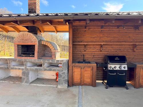 an outdoor kitchen with a stove and an oven at Mosia Vasiloaica in Pleaşa
