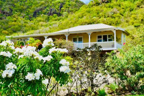 Zahrada ubytování Summer Breeze Villa with Private Pool near Jolly Harbour & Hermitage Bay