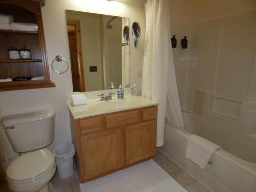 un bagno con wc, lavandino e doccia di Greenside at Schuss Mountain a Bellaire
