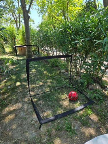 a red soccer ball sitting in a cage at Iscles 231- MH Au calme près du lac in La Roque-dʼAnthéron