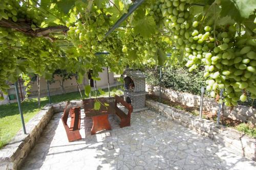 twee banken staan onder een tros druiven bij House Klaudio in Štanga
