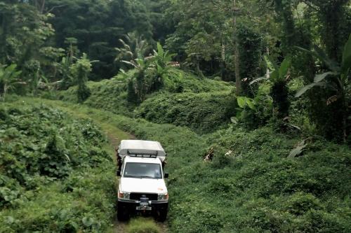 a white truck driving down a dirt road at Fare Mama Rota - au bord de l'océan in Taputapuapea