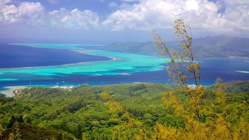 a view of the beach and ocean from a mountain at Villa MATOANUI in Tevaitoa