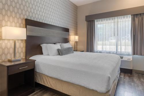 a hotel room with a large bed and a window at Best Western Plus Saint Peter in Saint Peter