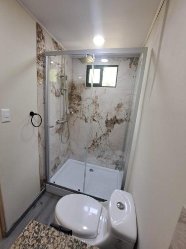 a bathroom with a white toilet and a shower at Contenedor el Colibrí in Naranjo