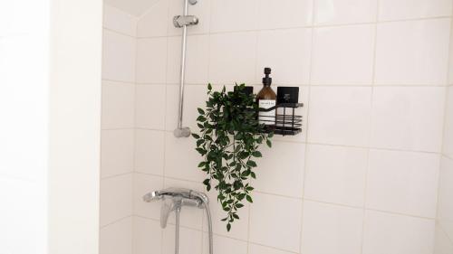 a plant in a shower with a bottle of wine at Le Mercœur - studio cosy - hyper centre Nantes in Nantes