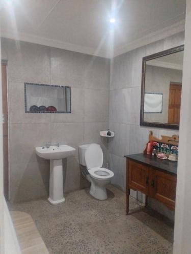 a bathroom with a white toilet and a sink at Mooi Nooi in Beaufort West