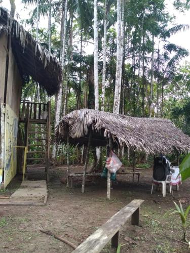 a straw hut with a bench and a chair at ECO HOSTAL El VIEJO BOSQUE TOUR AMAZON in Santa Sofía