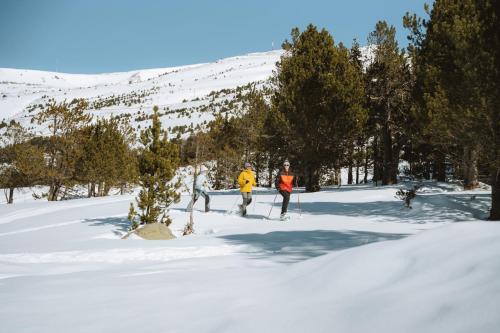 a group of people on skis in the snow at Barthe Holidays I Apartamento amplio en Andorra 6PAX I Céntrico y luminoso I Central Park in Escaldes-Engordany