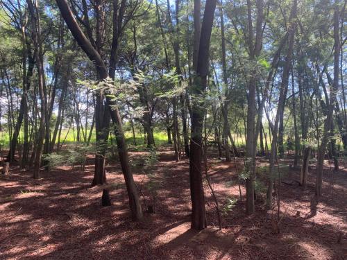 Paisaje cerca of this country house