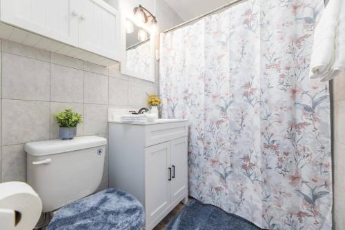 ジョンソンシティにある3BR, 1BA House Blocks from ETSU and Downtownのトイレと洗面台付きのバスルーム