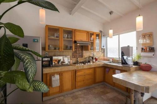 a kitchen with wooden cabinets and a large plant at Departamentos Mi querido Coyoacán in Mexico City