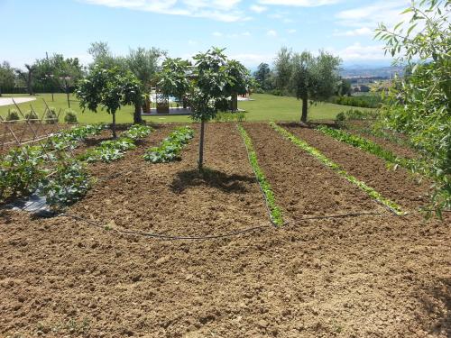 Jardín al aire libre en Residence Colle Veroni