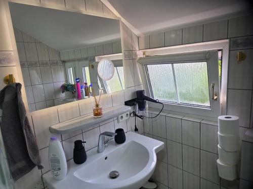 a bathroom with a sink and a mirror at S&P Dream Apartment in Backnang