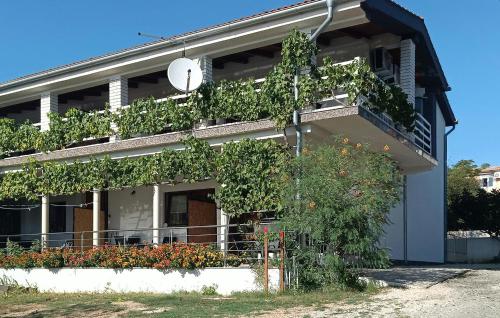 Gorgeous Apartment In Maslenica With Wifi