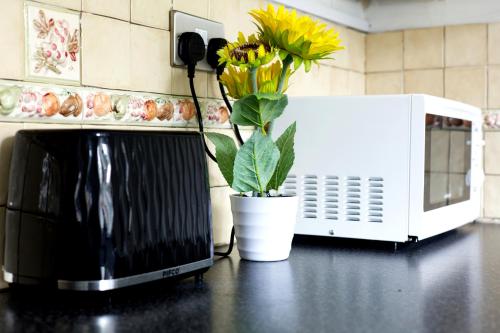 a microwave sitting on a counter next to a plant at Beautiful 5Bedroom House - Contractors and Family near the Molineux stadium in Wolverhampton