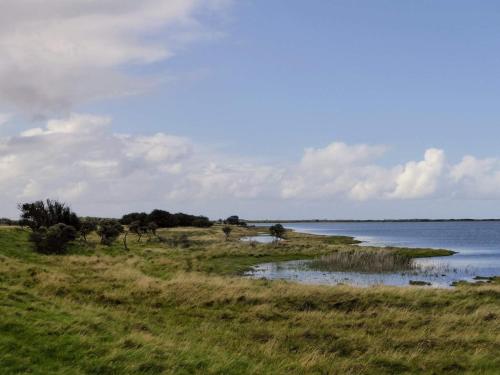 a grassy field with a body of water at 5 star holiday home in Lemvig-By Traum in Lemvig