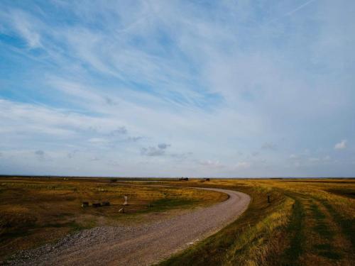 a dirt road in the middle of a field at 5 star holiday home in Lemvig-By Traum in Lemvig