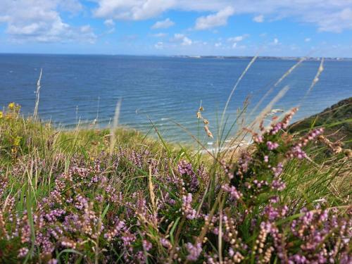 a field of grass with the ocean in the background at 6 person holiday home in Struer-By Traum in Struer