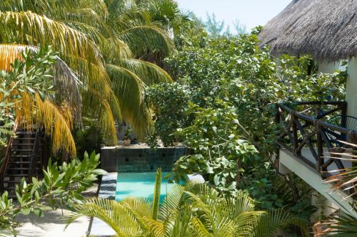 a swimming pool in the middle of a garden at Hotel Boutique La Puerta Azul Beachfront - Adults Only in Holbox Island