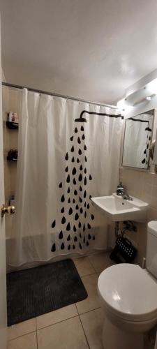 a bathroom with a shower curtain with a toilet and a sink at Medium size room for 2 in Toronto