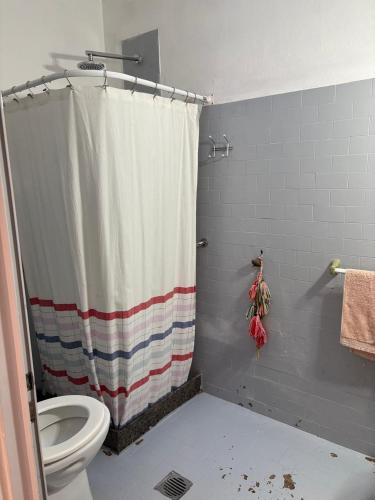 a bathroom with a shower curtain and a toilet at Casa Rita in Gualeguaychú
