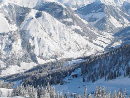 a snowy mountain range with trees and snow covered mountains at Apart Heidi in Donnersbachwald