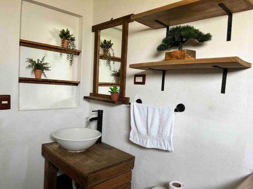 サカトランにあるCabaña Xacaliのバスルーム(洗面台、鏡付)