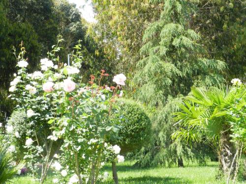 Jardín al aire libre en Il Nibbio Reale Country House
